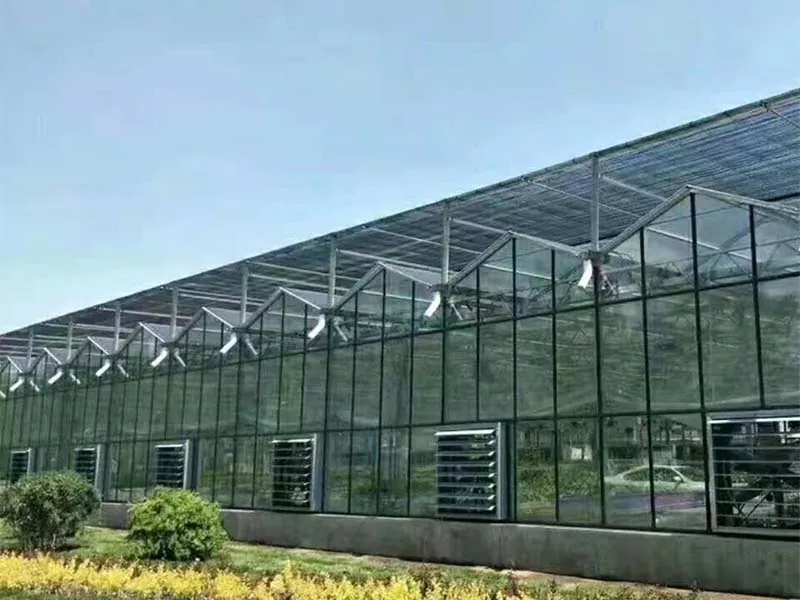 Ce face ca Steel Vertical Farm să fie viitorul agriculturii durabile?