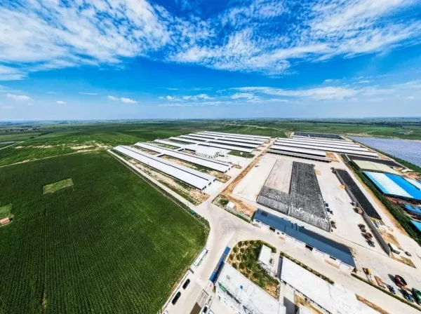Uzina de prelucrare a alimentelor cu structura metalica